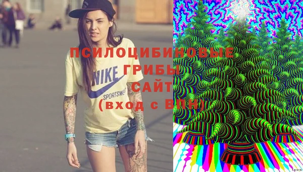 меф Белокуриха