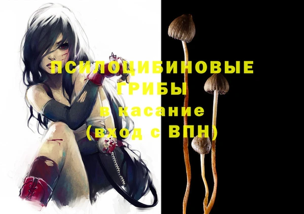 меф Белокуриха