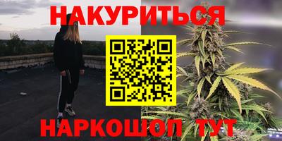 PSILOCYBIN Нальчик