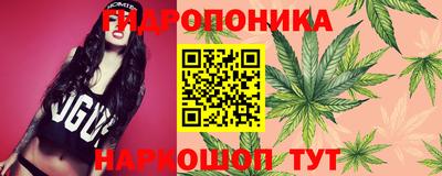 мяу мяу мука Нарткала